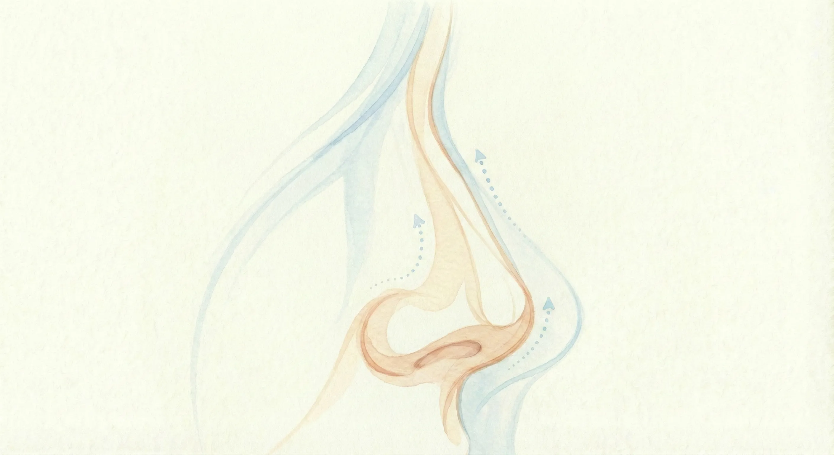 Neuscorrectie rhinoplastiek behandeling