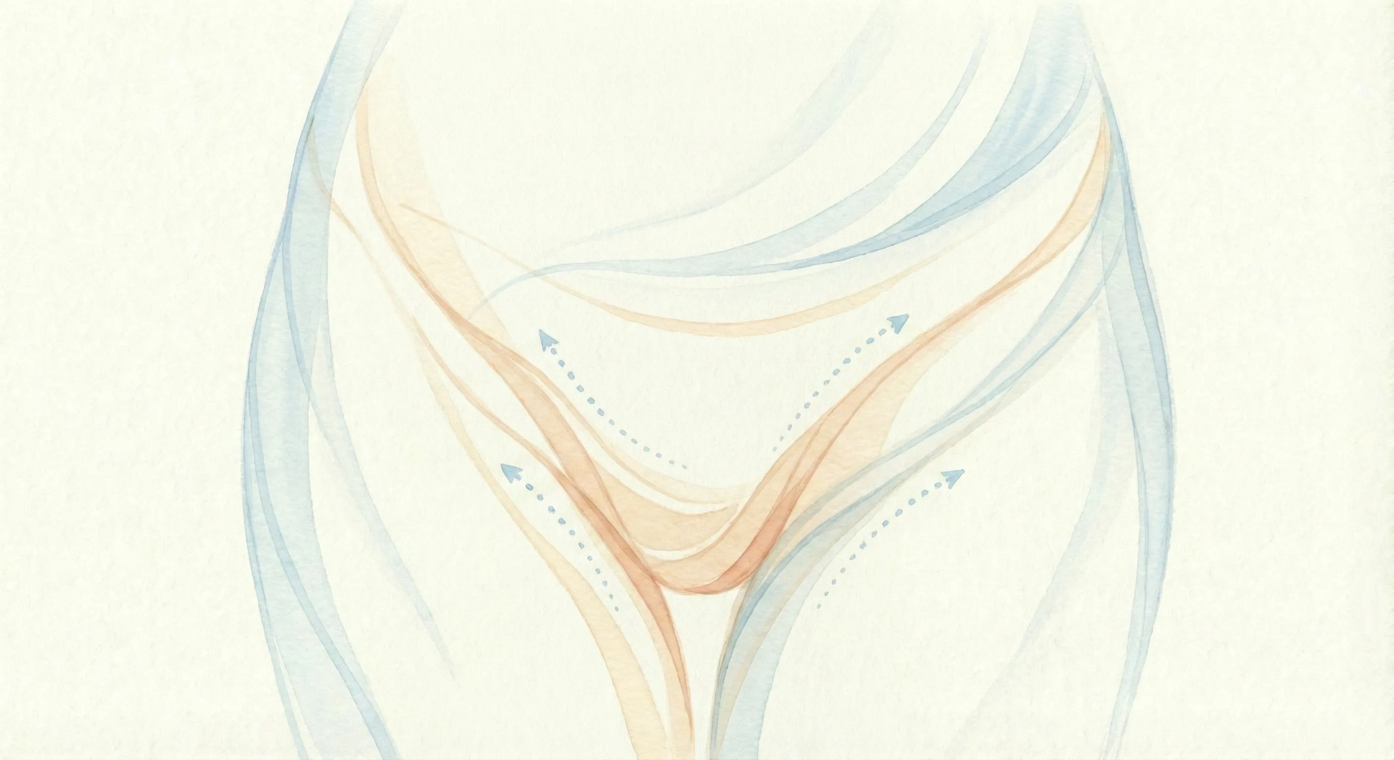 Schaamlipcorrectie labiaplastiek behandeling